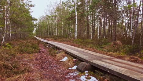 Narrow-wooden-pathway-in-forest-area-for-calm-and-relaxing-walks