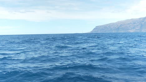 Seiwal-Während-Walausflug-Gesichtet,-Als-Wellen-Auf-Das-Boot-Plätscherten