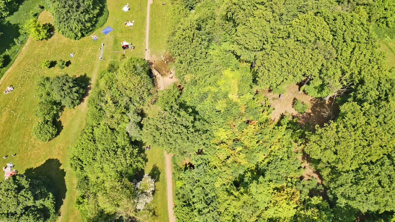 Drone-captured footage of a British summer park&mdash;individuals relishing a winding stream, appealing picnic spots, and wooded tourist draw