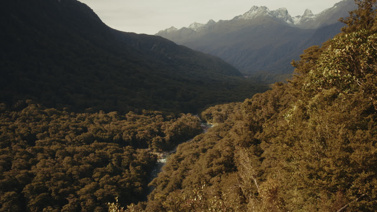 valle de montaña con río y bosque