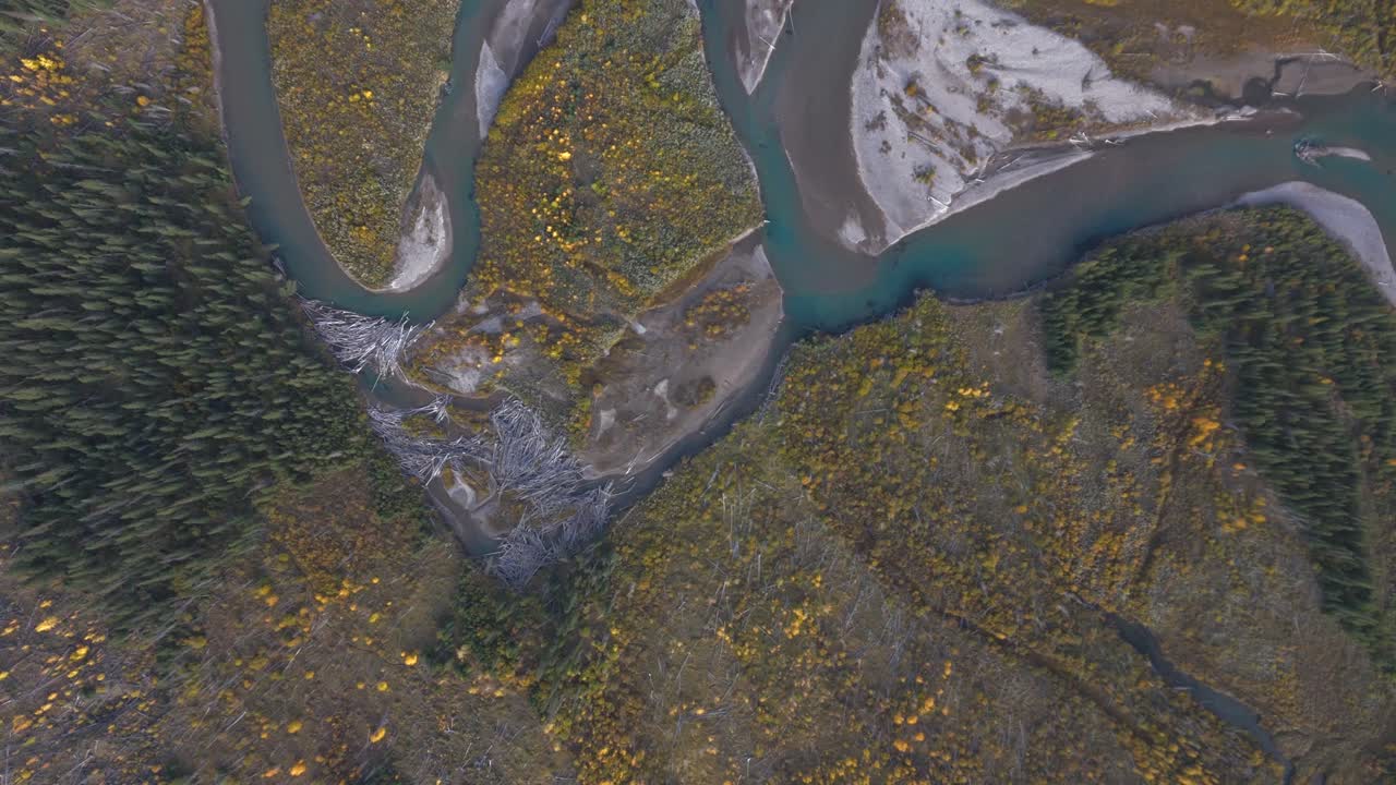 un lento río de color azul rico serpenteante fluye a través de un bosque lleno de coníferas y árboles caducifolios que cambian de color las hojas durante el otoño con troncos apilados y bancos de arena expuestos