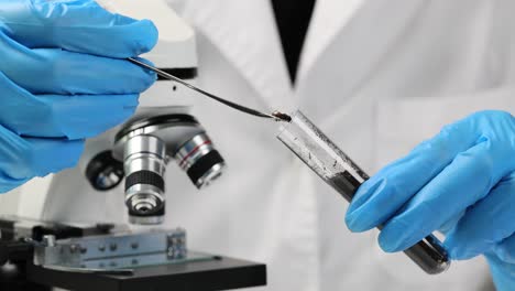 scientist in blue gloves conducting a laboratory experiment