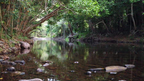 view-of-water-flowing-gently-down-a-beautiful-creek-with-the-trees-all-reflecting-off-the-water