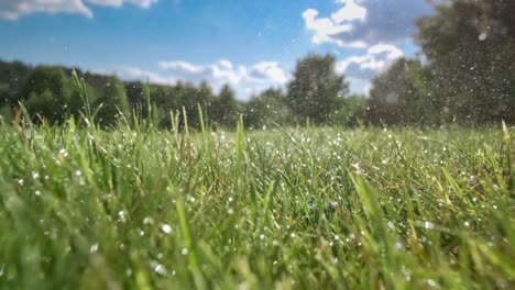 golf club hits a golf ball in a super slow motion. drops of morning dew and grass particles rise into the air after the impact.