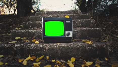 윈테이지 tv 그린 스크린, 80년대의 미학,  인.