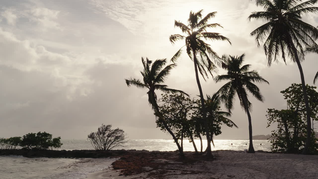 Silhouette of palm trees on a beach at sunset with cloudy sky