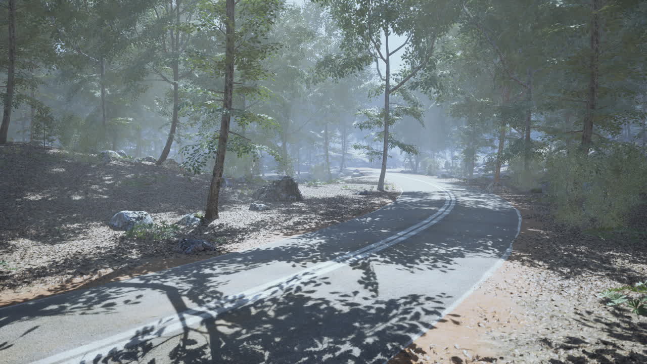 부드러운 아침 빛 아래 두꺼운 숲을 가로질러 조용한 휘어지는 길