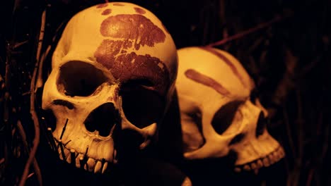 human skulls decorated with blood - scary halloween arrangement, religious or tribal offering, remote island warning, horror movie setting