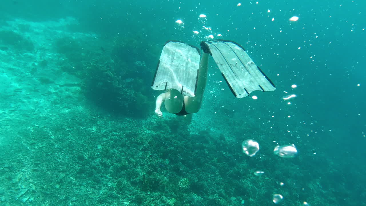 활기찬 산호초에서 수중 스노클링 모험