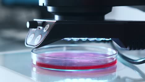 close-up automated scientific laboratory microscope goes down for examination of sample in the petri dish