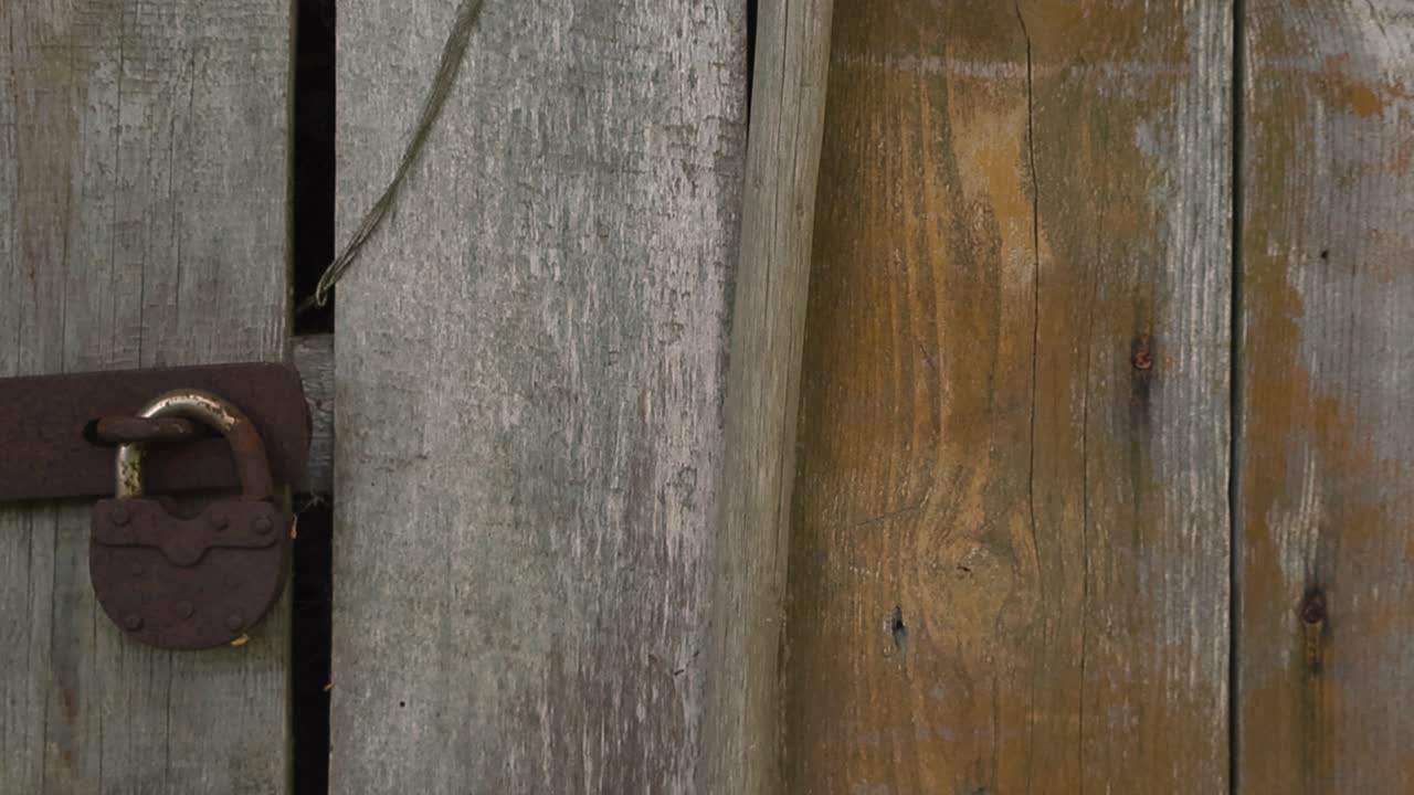 Close up or closeup panning footage of a rusty old and vintage retro brown colored locked padlock in front of a wooden and moss covered barn or shed door in a farm during day time with wood grain seen