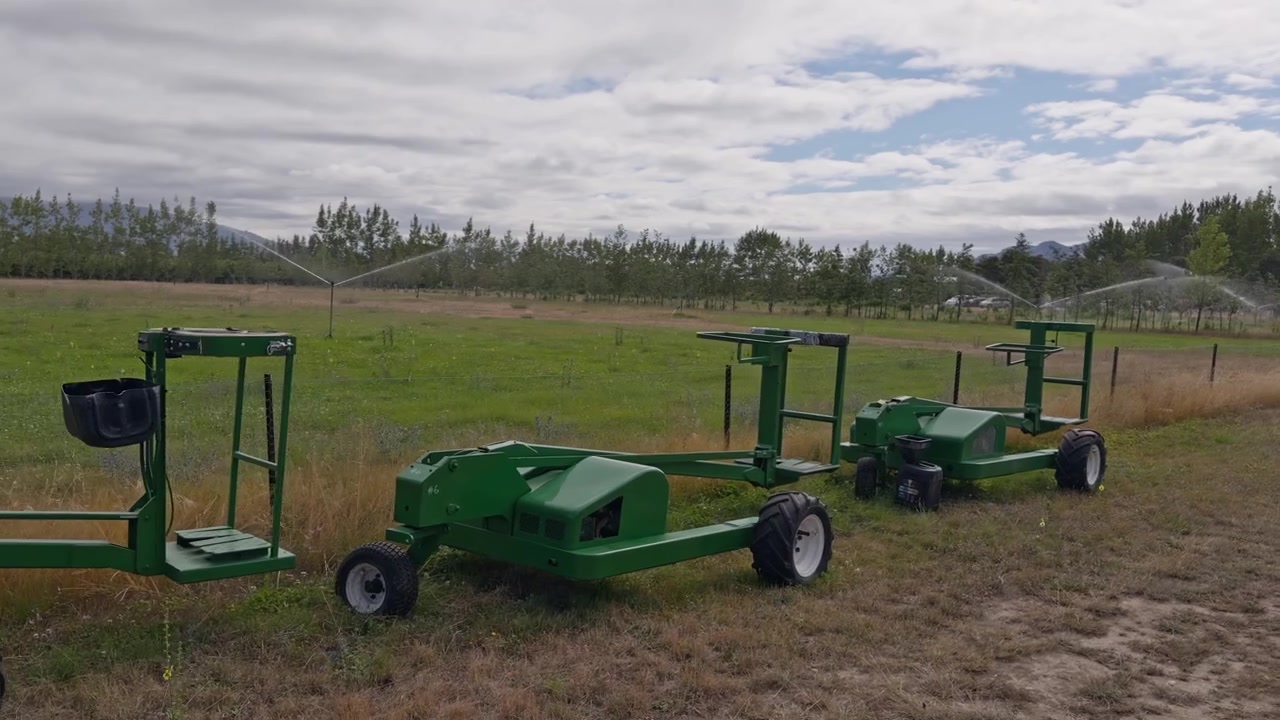 Water sprinklers irrigate a commercial cherry orchard while agricultural equipment is parked nearby. Scenic farming footage showing orchard irrigation and water management.