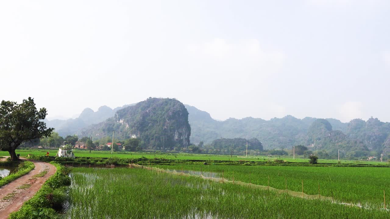 푸른 과 석회암 산 들 in ninh binh