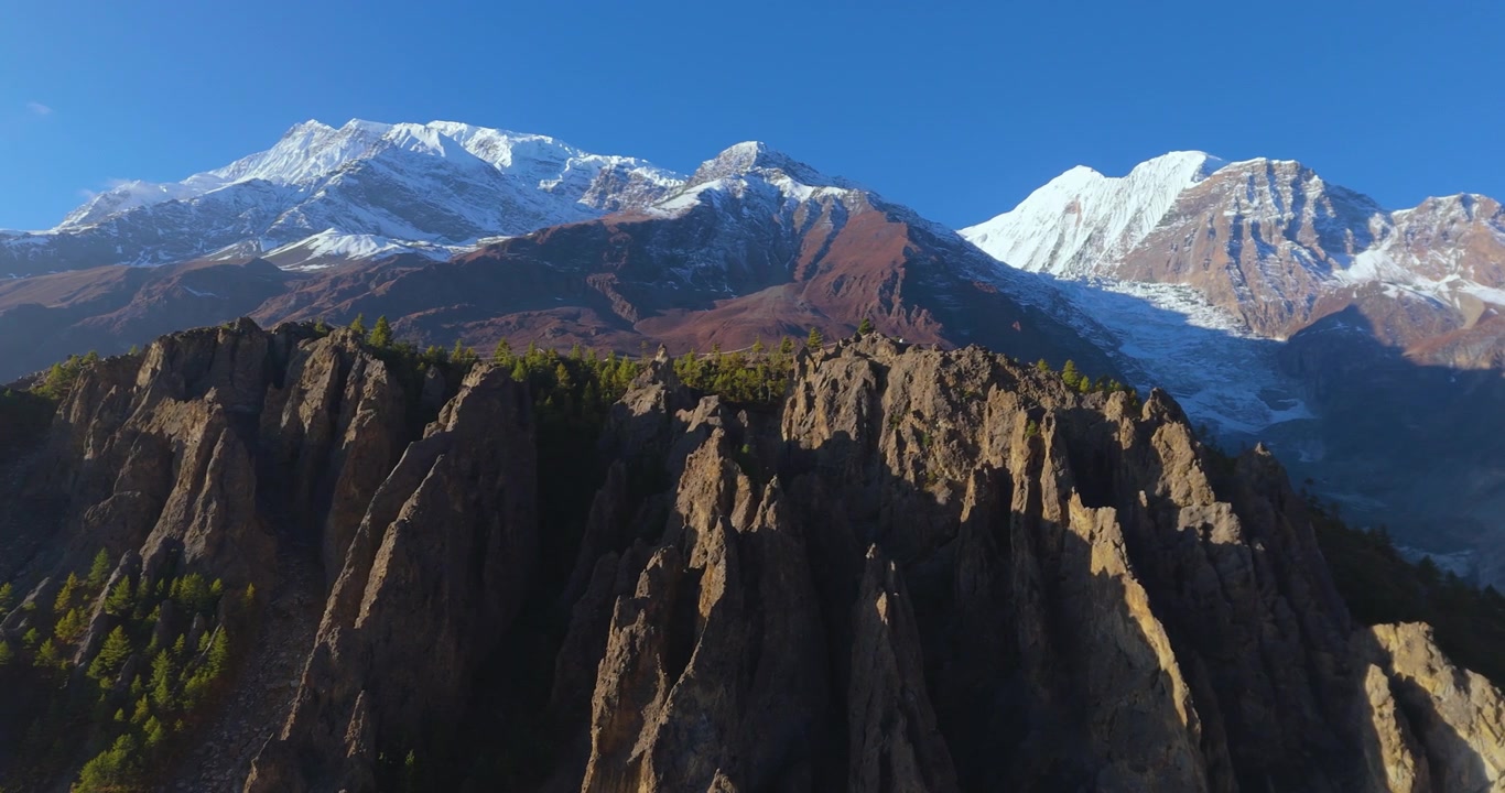 Annapurna Circuit, Manang Nepal, svævende droneoptagelse af fyrreskov og barskt terræn under den sneklædte Annapurna bjergkæde i morgenlys.