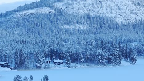 snowy landscape with cabins in lush coniferous forest at winter - panning shot