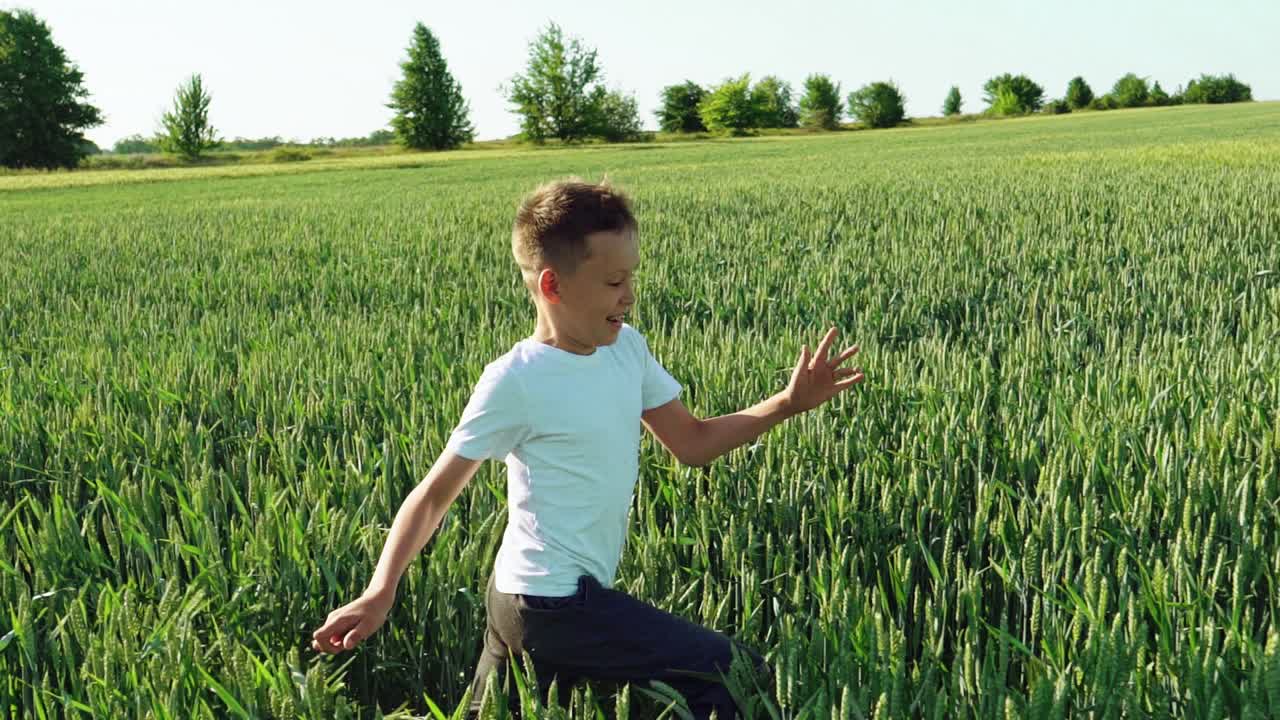 Happy boy is running through the wide field with green wheat at a sunny hot day. Smiling boy in white t-shirt on the field in summer. Slow motion