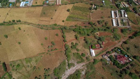 Vista-Aérea-Con-Vistas-A-Los-Campos-Y-La-Granja-En-El-Campo-De-La-Soleada-Kenia---Seguimiento,-Disparo-De-Drones