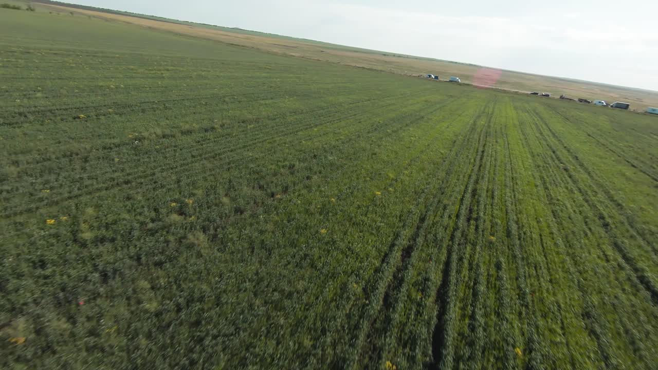 vista aérea de un campo