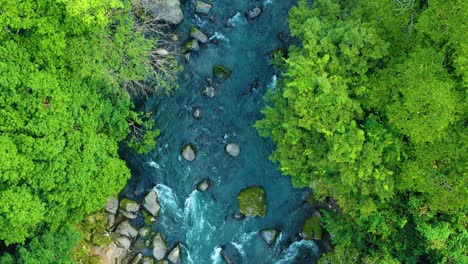 Top-Down-Dolly-Aus-Der-Luft-über-Dem-Malerischen-Klaren-Fluss