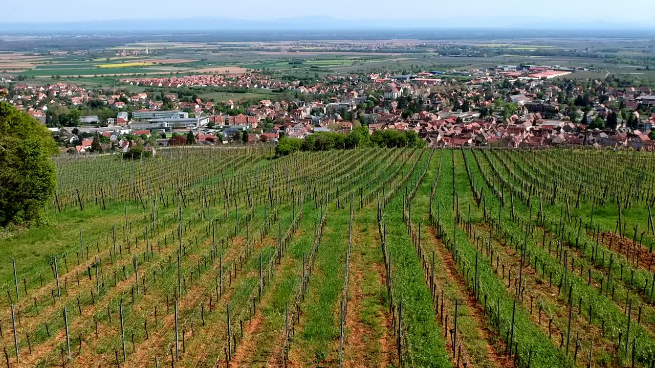 Ripresa aerea inclinata sopra vigneti collinari, con un bellissimo villaggio tradizionale sullo sfondo nella Francia orientale.