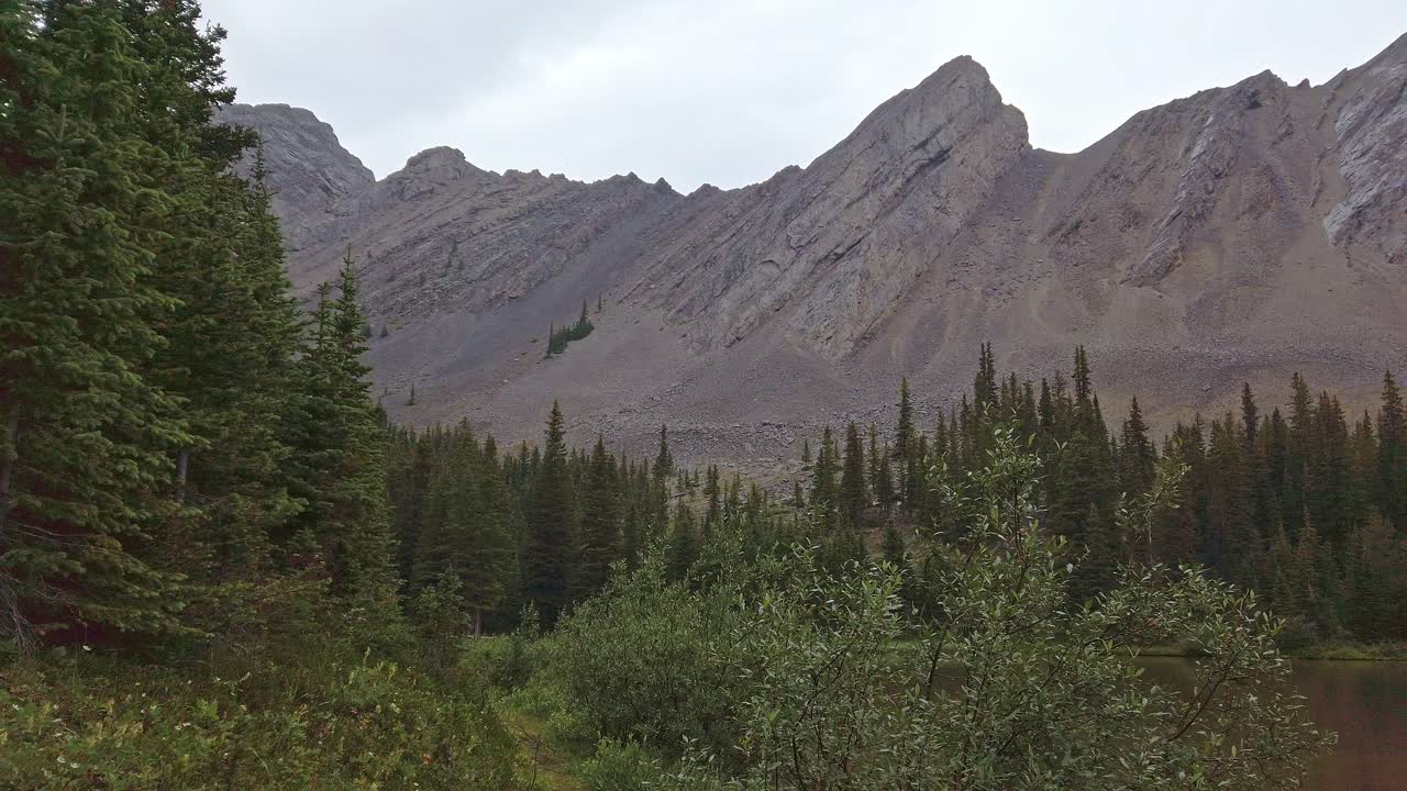sendero y estanque en el bosque de montaña lloviendo rockies kananaskis alberta canada