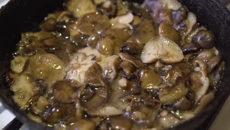 honey mushrooms are fried in oil in a frying pan 03