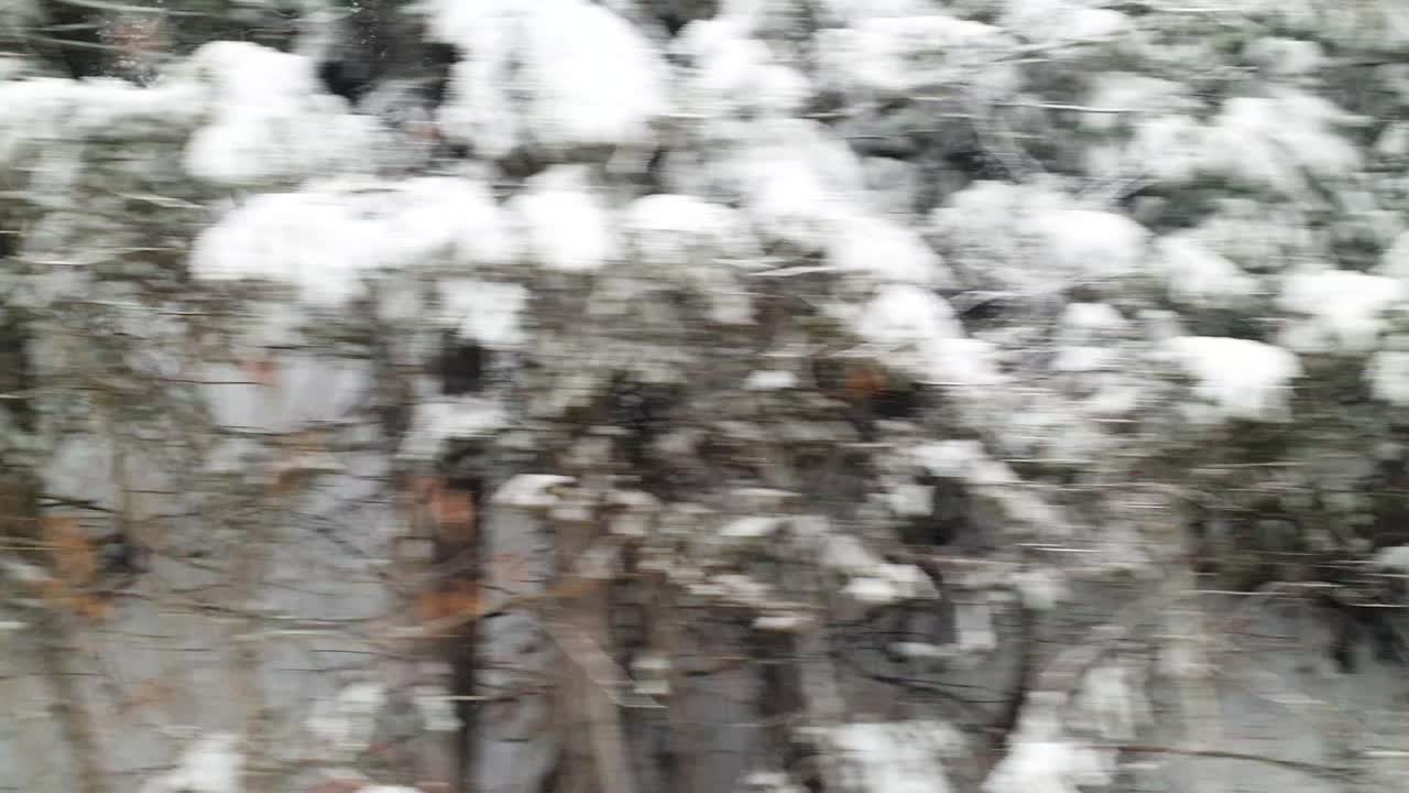 미국 아이다호의 야외 산악 야생으로 가는 도로 여행에서 눈 인 풍경의 전망