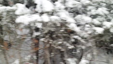 vista del paisaje cubierto de nieve desde un coche en movimiento en un viaje por carretera al desierto montañoso al aire libre en idaho, estados unidos
