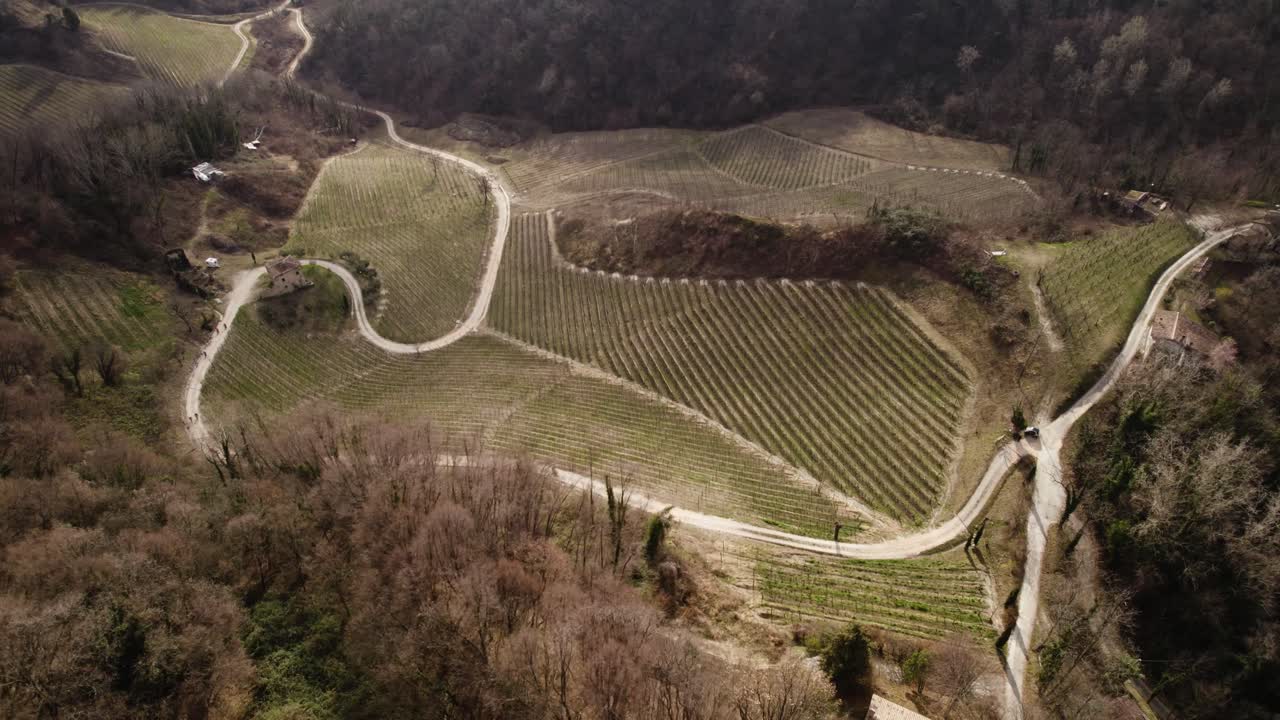 Vista paesaggistica aerea su una strada sterrata che si snoda tra i filari di vigneti nelle colline del Prosecco italiane, in una giornata invernale.