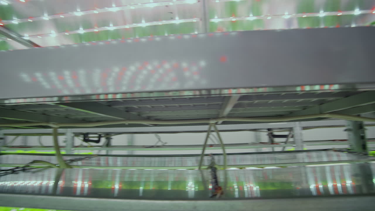 과학자들과 농부들은 현대 기술의 노트북과 태블릿을 사용하여 인공 환경에서 깨한 식물을 만들기 위해 팀으로 함께 일합니다.