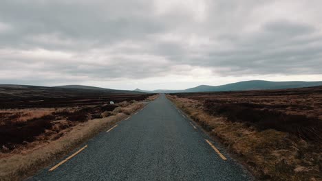 Point-of-view,-POV-shot-though-the-windshield-of-a-car-as-driving-on-a-burned-out-landscape