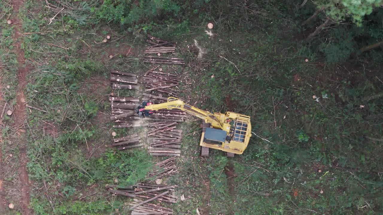 Aerial view of tracked log loader deforesting forested area