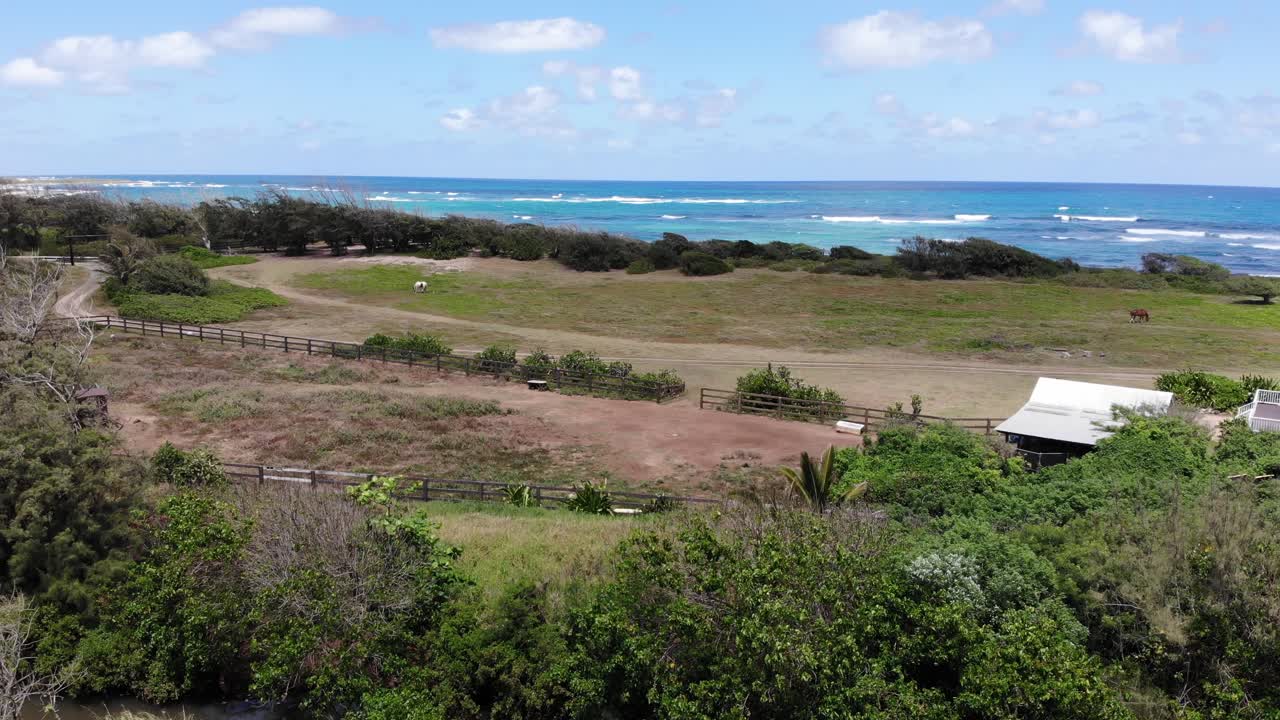 toma aérea de drones de la costa del pacífico y vegetación natural alrededor de la costa norte de oahu