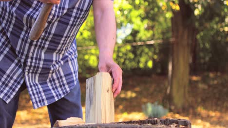 mid-section of man chopping wood from axe in garden