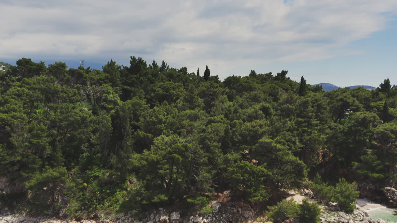 Paesaggio costiero con montagne e foresta
