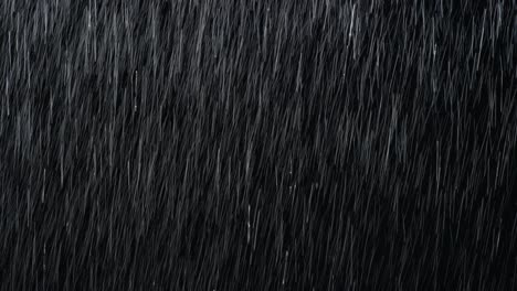 4k real rain, rain drops falling, loop rainfall