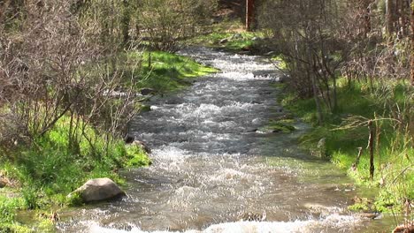 plano medio de un arroyo de montaña que fluye 1
