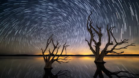 starry night reflections over a calm lake