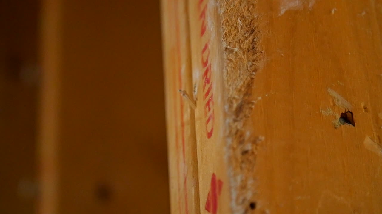 Persona usa un piede di porco per rimuovere un chiodo da un asse di legno