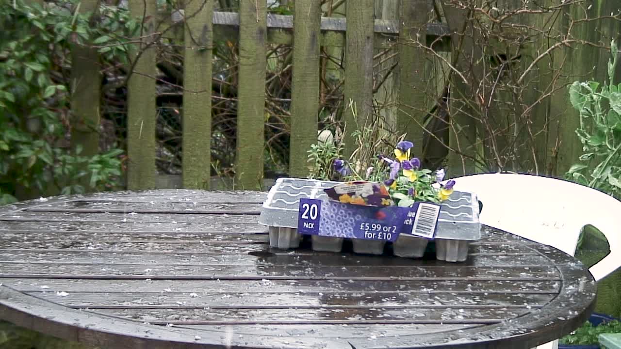 영국 러틀랜드 카운티 최초의 폭설