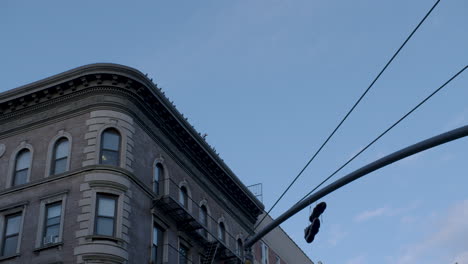 pigeons landing on rooftop in evening in new york city, u