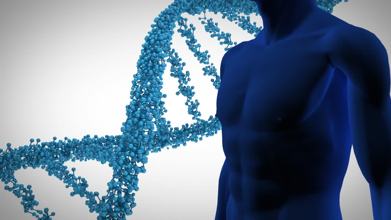 Animation of 3d blue dna strand spinning over human model