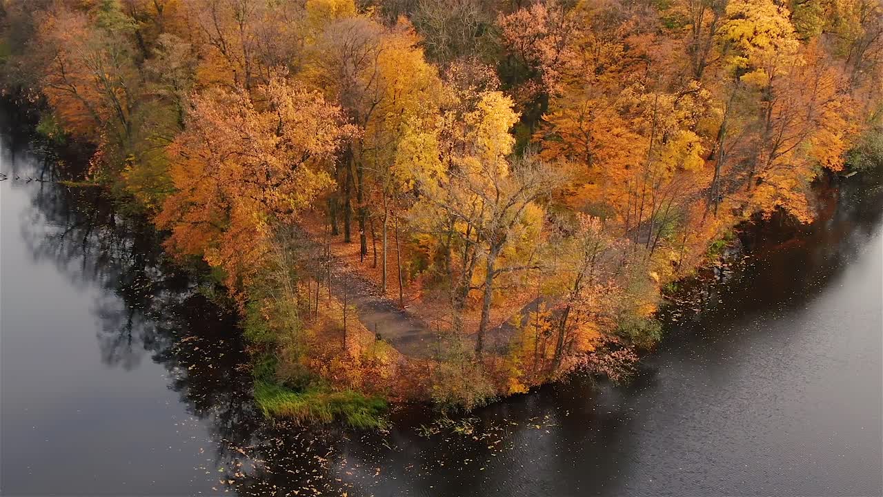 bosque aéreo en increíbles sombras de otoño con la carretera escondida bajo las copas de los árboles