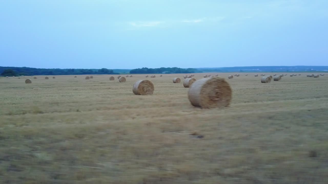 Aerial View Of Harvest Field. Aerial view of hay bales on harvest field