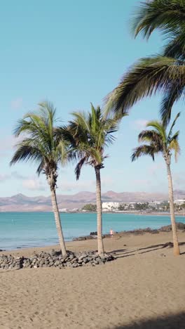 tropical beach scene with palm trees