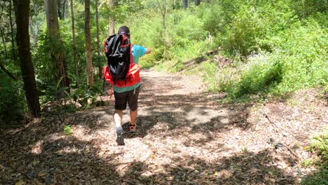 persona caminando por un sendero forestal