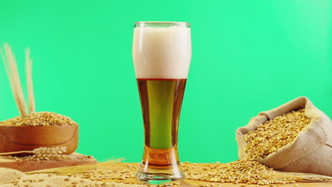 glass of beer with barley grain