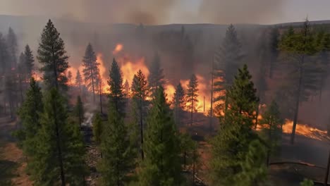 aerial view of a devastating wildfire consuming trees and forest land, emitting smoke and flames in a dramatic display of nature's fury and destruction
