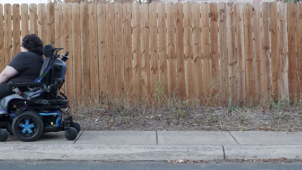 Muscular Dystrophy adolecsent dog walking with mom along fence in profile
