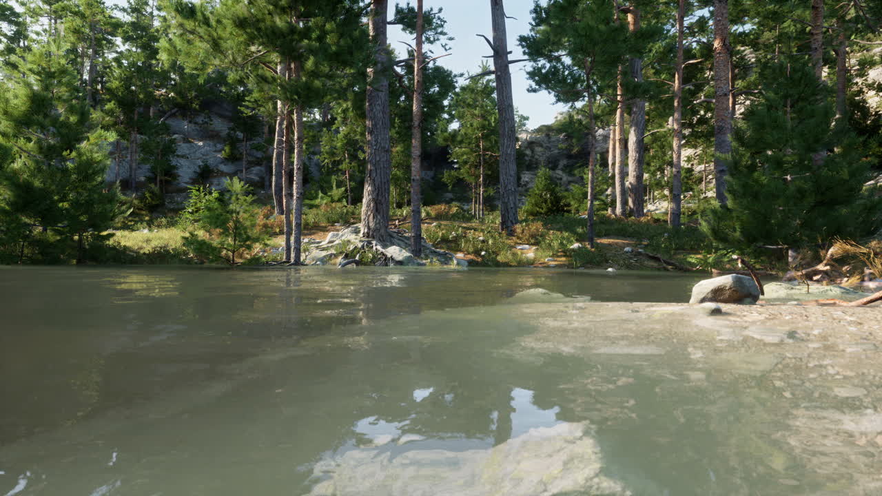 호수 와 소나무 가 있는 아름다운 숲 장면